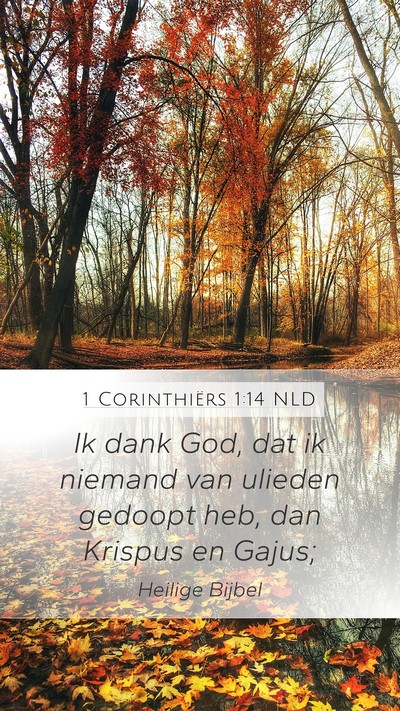 1 Corinthiërs 1:14 NLD Bible Verse Image