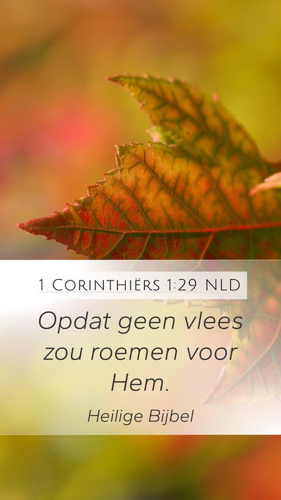 1 Corinthiërs 1:29 NLD Mobile Phone Wallpaper - Opdat geen vlees zou roemen voor - Mobile Bible Verse Wallpaper