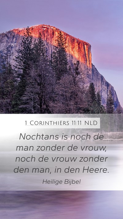 1 Corinthiërs 11:11 NLD Bible Verse Image