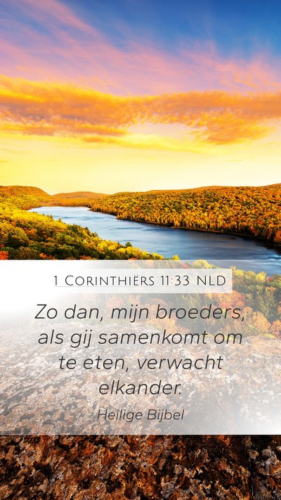 1 Corinthiërs 11:33 NLD Mobile Phone Wallpaper - Zo dan, mijn broeders, als gij samenkomt om te - Mobile Bible Verse Wallpaper