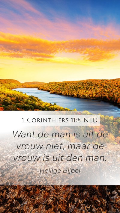 1 Corinthiërs 11:8 NLD Mobile Phone Wallpaper - Want de man is uit de vrouw niet, maar de vrouw - Mobile Bible Verse Wallpaper