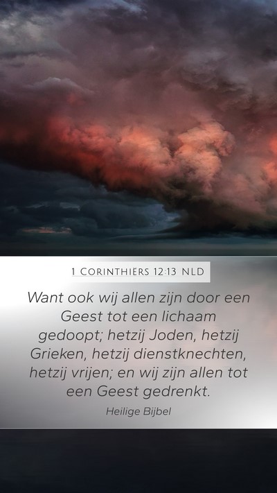 1 Corinthiërs 12:13 NLD Bible Verse Image
