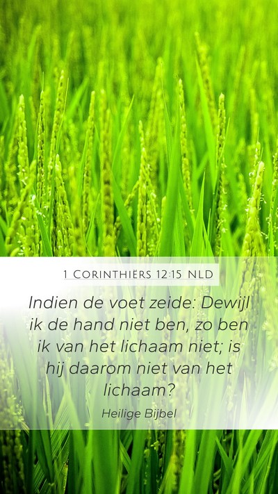 1 Corinthiërs 12:15 NLD Mobile Phone Wallpaper - Indien de voet zeide: Dewijl ik de hand niet ben, - Mobile Bible Verse Wallpaper