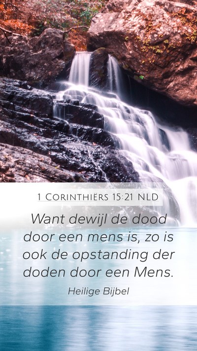 1 Corinthiërs 15:21 NLD Bible Verse Image