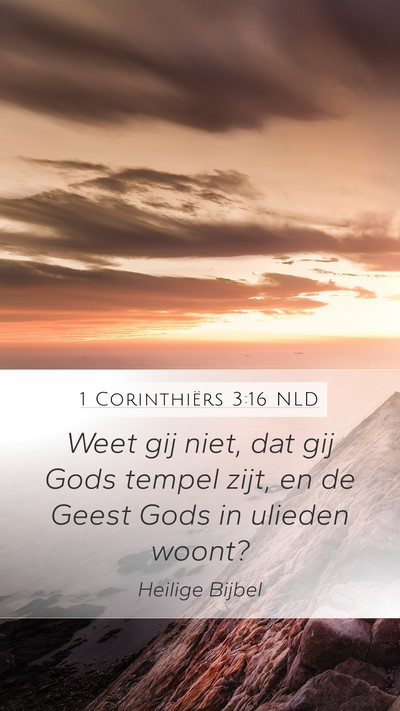 1 Corinthiërs 3:16 NLD Bible Verse Image