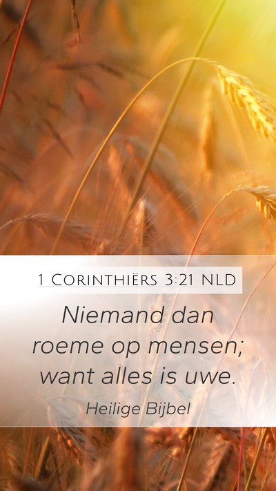 1 Corinthiërs 3:21 NLD Bible Verse Image