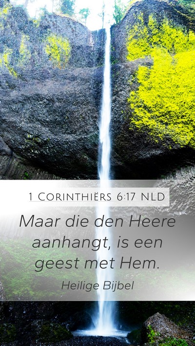 1 Corinthiërs 6:17 NLD Bible Verse Image