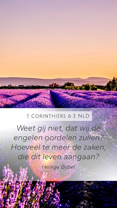 1 Corinthiërs 6:3 NLD Mobile Phone Wallpaper - Weet gij niet, dat wij de engelen oordelen - Mobile Bible Verse Wallpaper