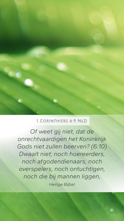 1 Corinthiërs 6:9 NLD Bible Verse Image