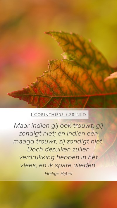 1 Corinthiërs 7:28 NLD Bible Verse Image