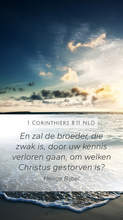 1 Corinthiërs 8:11 NLD Bible Verse Image