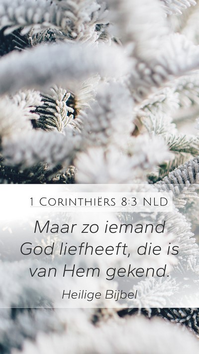 1 Corinthiërs 8:3 NLD Bible Verse Image