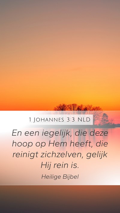 1 Johannes 3:3 NLD Bible Verse Image