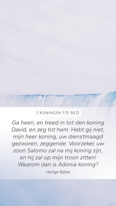 1 Koningen 1:13 NLD Bible Verse Image