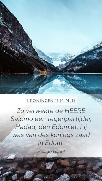 1 Koningen 11:14 NLD Bible Verse Image