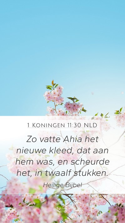 1 Koningen 11:30 NLD Bible Verse Image
