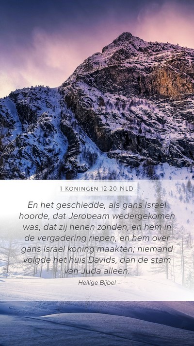 1 Koningen 12:20 NLD Bible Verse Image