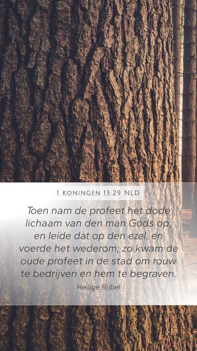 1 Koningen 13:29 NLD Bible Verse Image