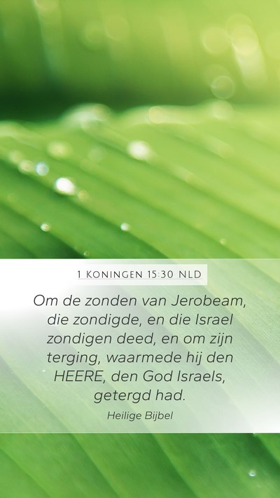 1 Koningen 15:30 NLD Bible Verse Image
