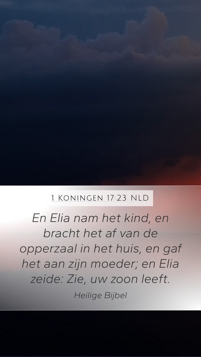 1 Koningen 17:23 NLD Bible Verse Image