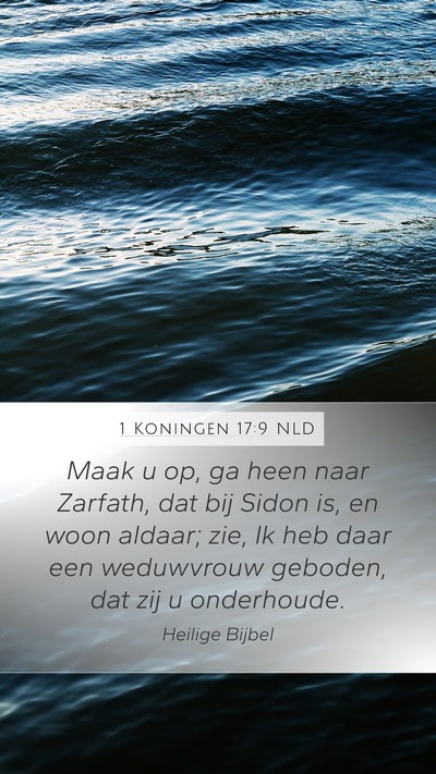 1 Koningen 17:9 NLD Bible Verse Image