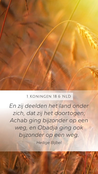 1 Koningen 18:6 NLD Mobile Phone Wallpaper - En zij deelden het land onder zich, dat zij het - Mobile Bible Verse Wallpaper