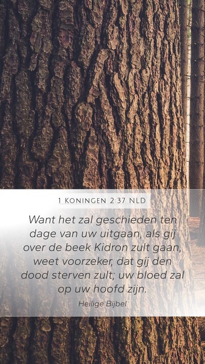 1 Koningen 2:37 NLD Bible Verse Image