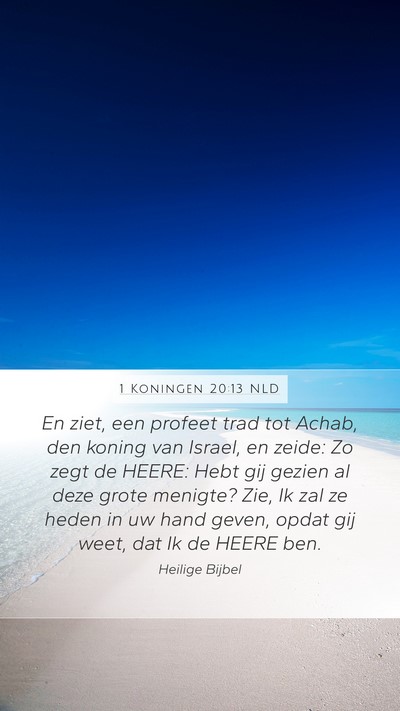 1 Koningen 20:13 NLD Bible Verse Image