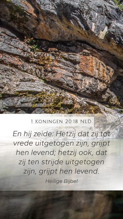 1 Koningen 20:18 NLD Bible Verse Image