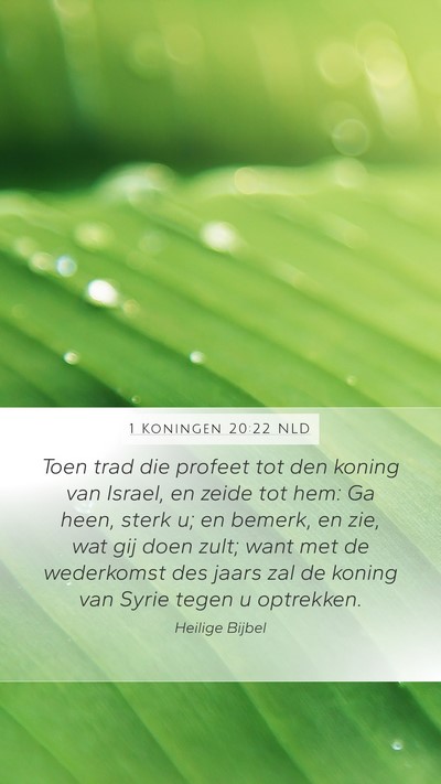 1 Koningen 20:22 NLD Bible Verse Image