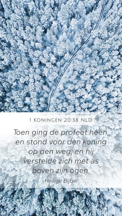 1 Koningen 20:38 NLD Bible Verse Image