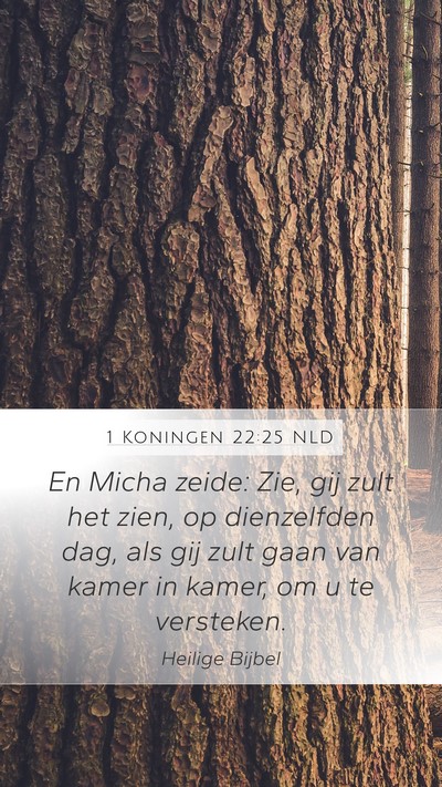 1 Koningen 22:25 NLD Bible Verse Image