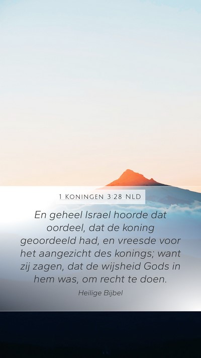 1 Koningen 3:28 NLD Bible Verse Image