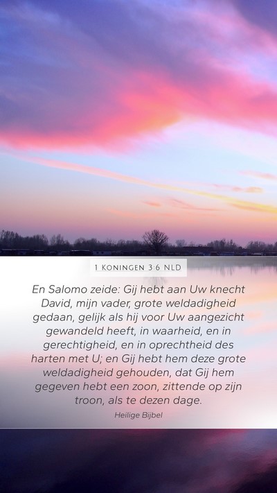 1 Koningen 3:6 NLD Bible Verse Image