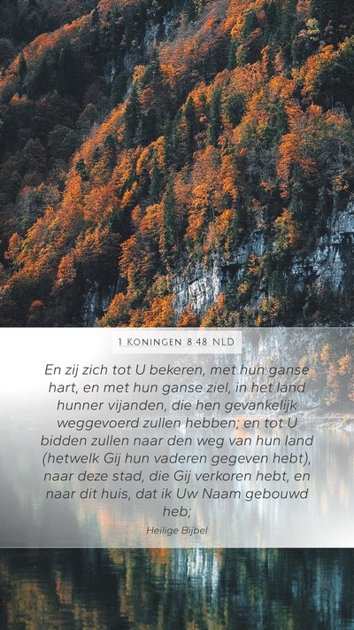 1 Koningen 8:48 NLD Bible Verse Image