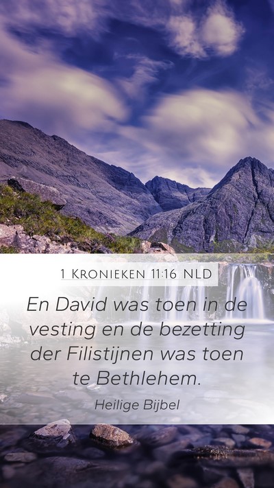 1 Kronieken 11:16 NLD Bible Verse Image