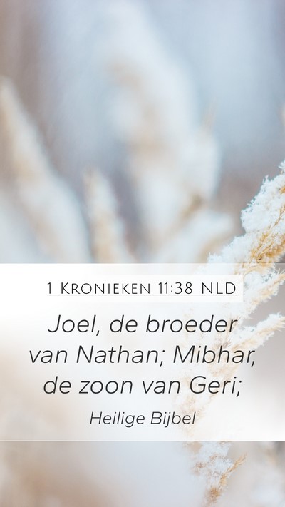 1 Kronieken 11:38 NLD Bible Verse Image