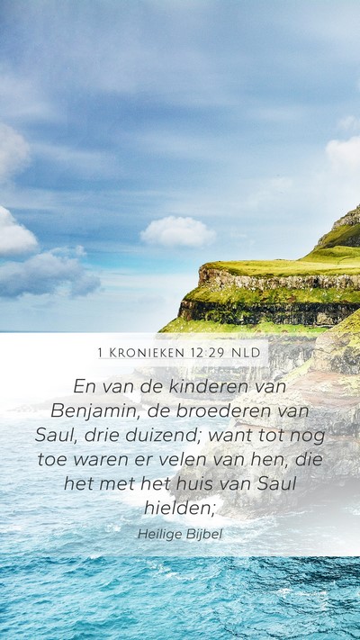 1 Kronieken 12:29 NLD Bible Verse Image