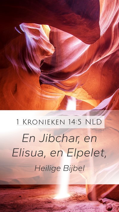 1 Kronieken 14:5 NLD Bible Verse Image