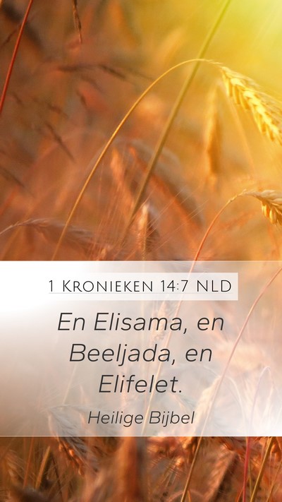 1 Kronieken 14:7 NLD Bible Verse Image
