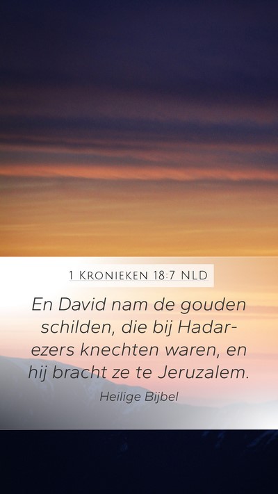 1 Kronieken 18:7 NLD Bible Verse Image