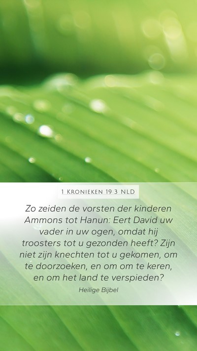 1 Kronieken 19:3 NLD Bible Verse Image