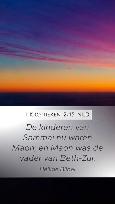 1 Kronieken 2:45 NLD Bible Verse Image