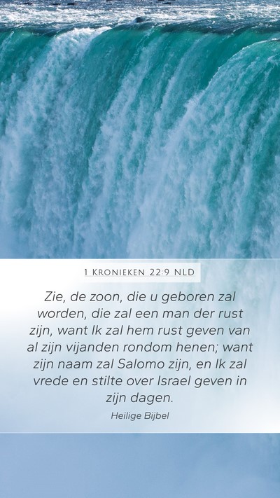 1 Kronieken 22:9 NLD Bible Verse Image