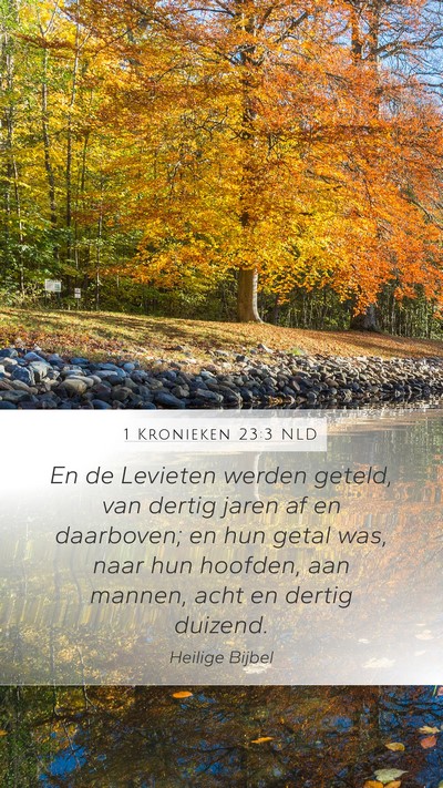 1 Kronieken 23:3 NLD Bible Verse Image