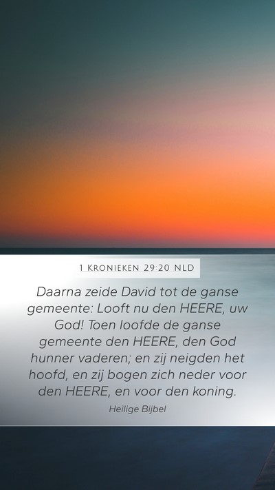 1 Kronieken 29:20 NLD Bible Verse Image
