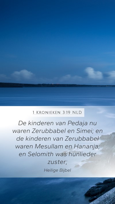 1 Kronieken 3:19 NLD Bible Verse Image