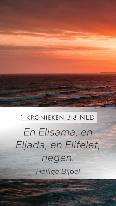 1 Kronieken 3:8 NLD Bible Verse Image