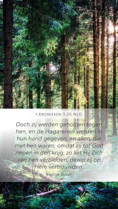 1 Kronieken 5:20 NLD Bible Verse Image