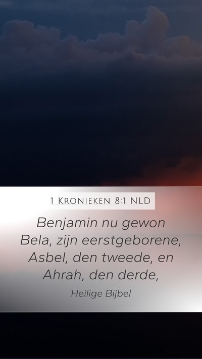 1 Kronieken 8:1 NLD Bible Verse Image